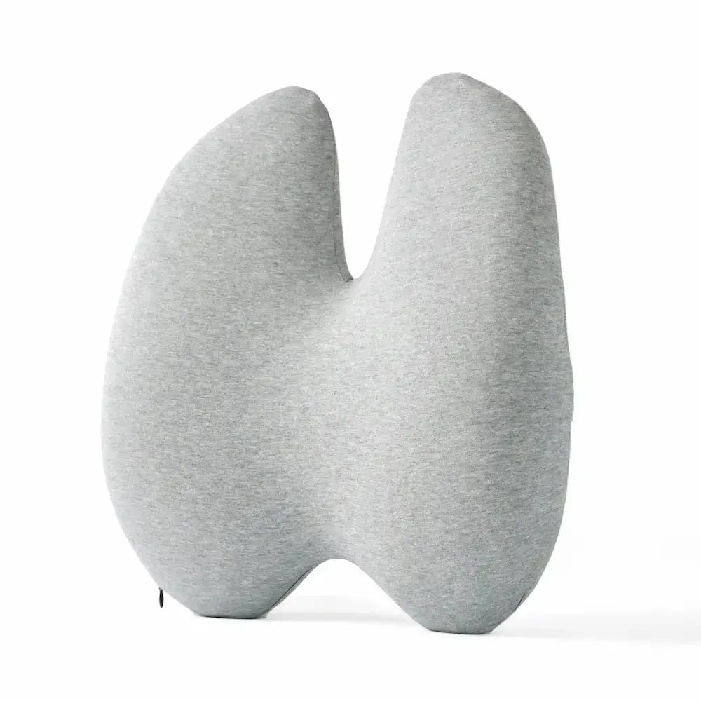 Lumbar Pillow Chair Set with Memory Foam Support Cushions for Office Chair and Home Seating