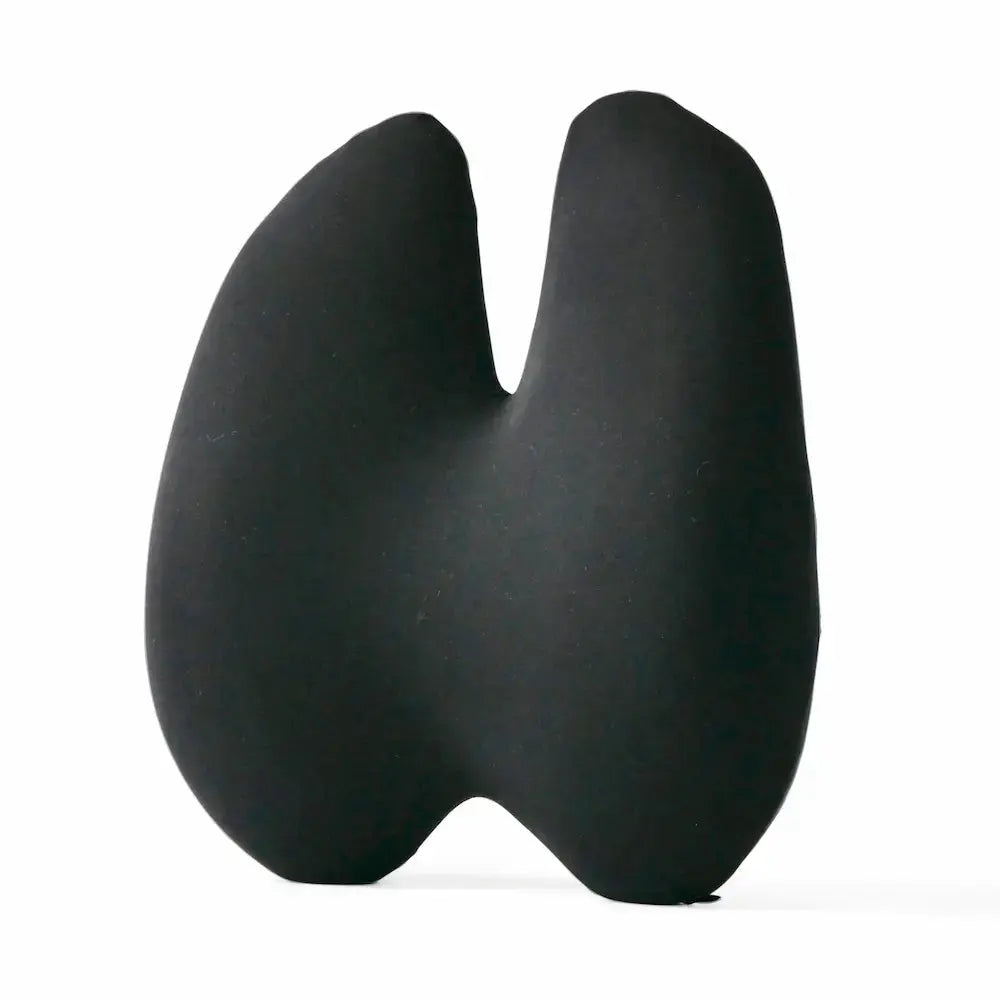 Lumbar Pillow Chair Set with Memory Foam Support Cushions for Office Chair and Home Seating
