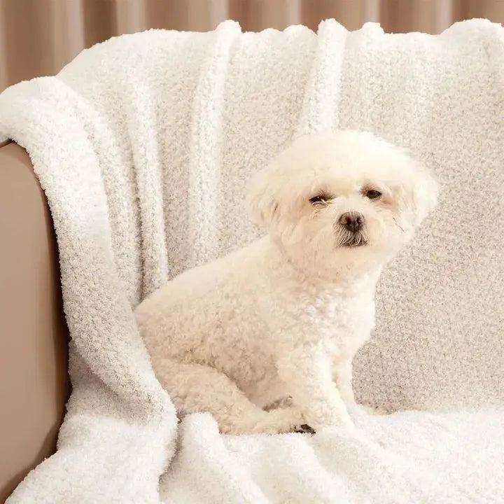 Buttery Ivory Reversible Knit Throw Blanket with Plush Texture for Couch and Home Lounging Comfort