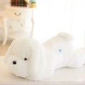 Luminous Dog Plush Pillow with LED Light Design for Home Decor and Gifting
