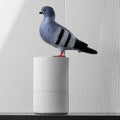 Pigeon Foam Dispenser with Automatic Touchless Sensor Design for Bathroom and Kitchen Hand Washing (11×6×4"/27×16×9cm)