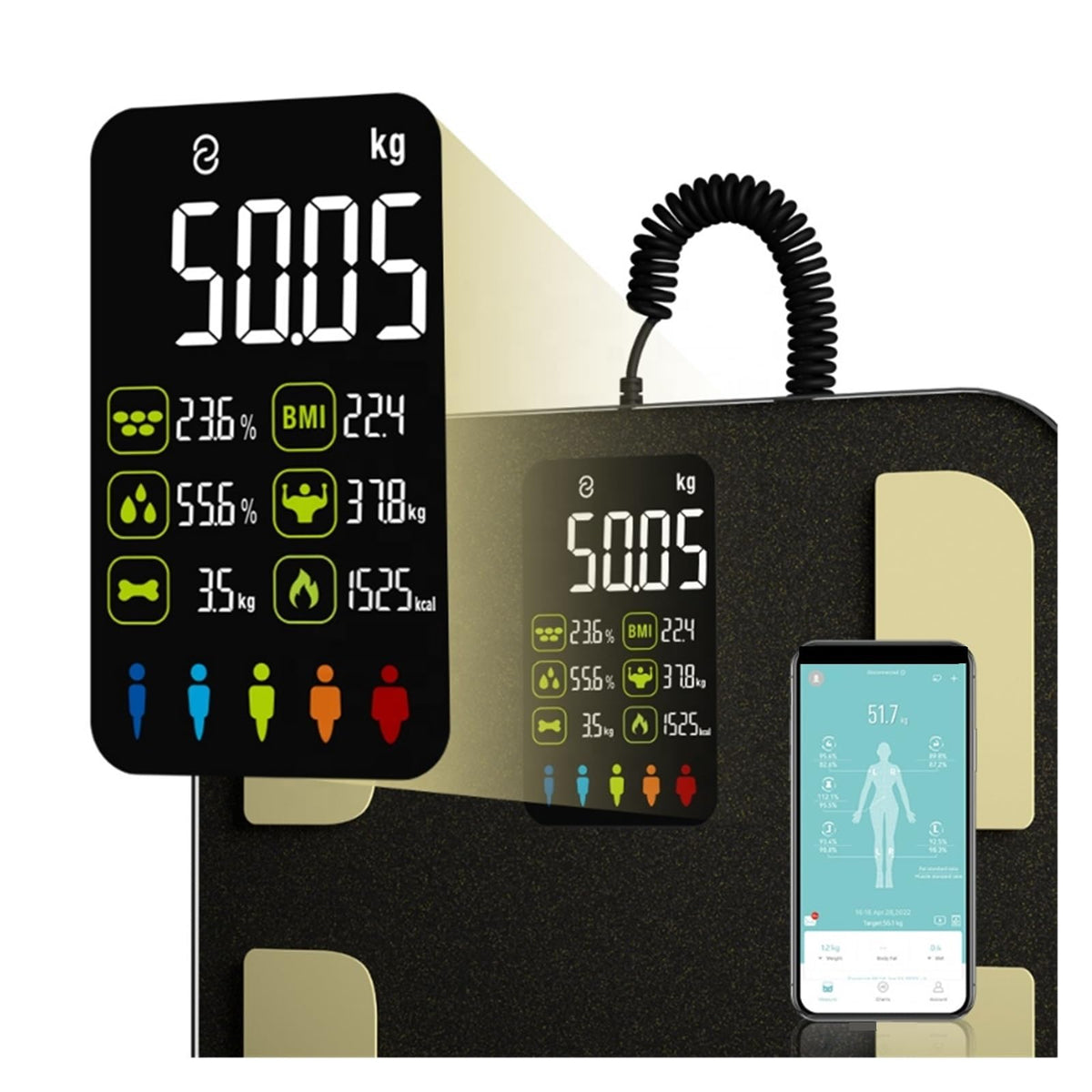 Smart Composition Scale with Handle Display and Bioimpedance Tracking for Bathroom Use