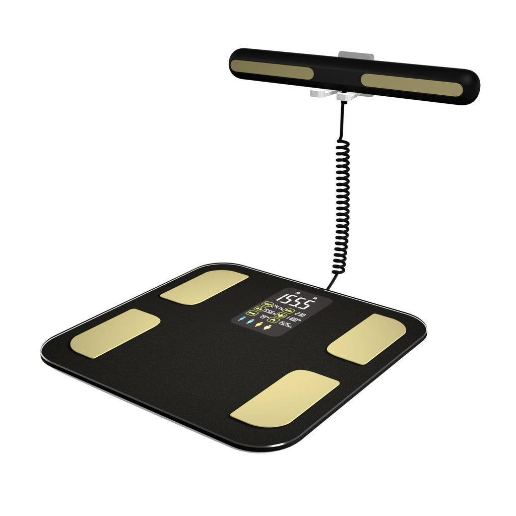 Smart Composition Scale with Handle Display and Bioimpedance Tracking for Bathroom Use